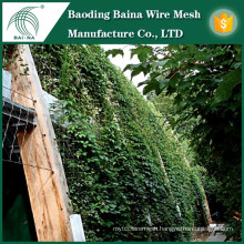 Indoor Stainless Steel Green Plant Climbing Wall Mesh China Supplier